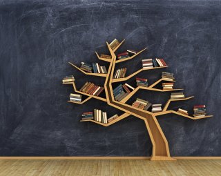 tree book shelf  with books