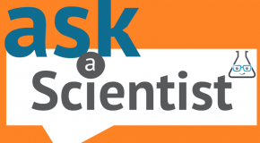 Ask a Scientist