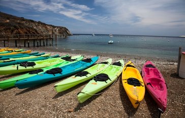 kayaks on the beach