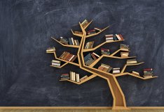 tree shelf with books